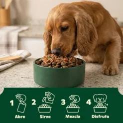 Wild Balance toppers molho de frango para ração de cães