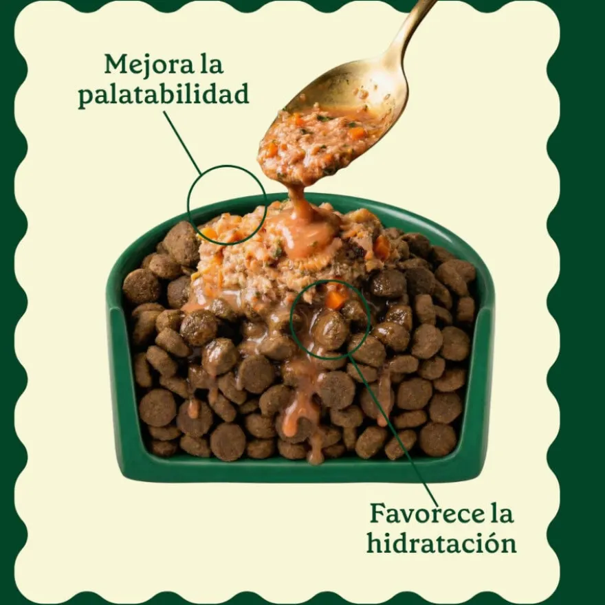 Wild Balance toppers molho de salmão para ração de cães