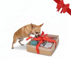 Wonder Christmas Caixa de Brinquedos de Natal para Cães