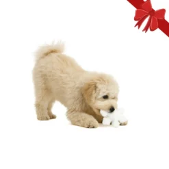 Wonder Christmas Peluche Floco de Neve de Natal para Cães