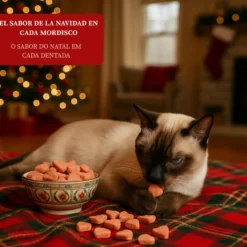 Wonder Christmas Petiscos de Natal para gatos