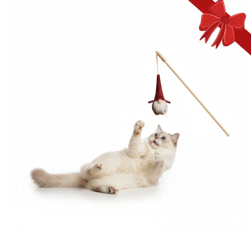 Wonder Christmas Vara com Brinquedo Pai Natal para Gatos