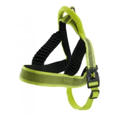 X-TRM Pro arnês acolchoado lima para cães