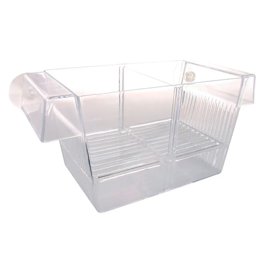 Zolux piscina flutuante 3 em 1 para peixes